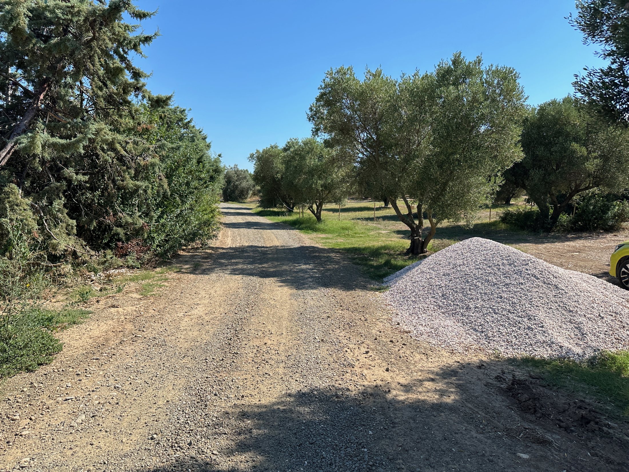 Access road through olive groves near Zelia Halkidiki